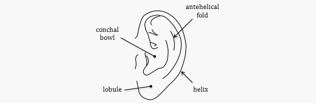 otoplasty ear diagram illustration
